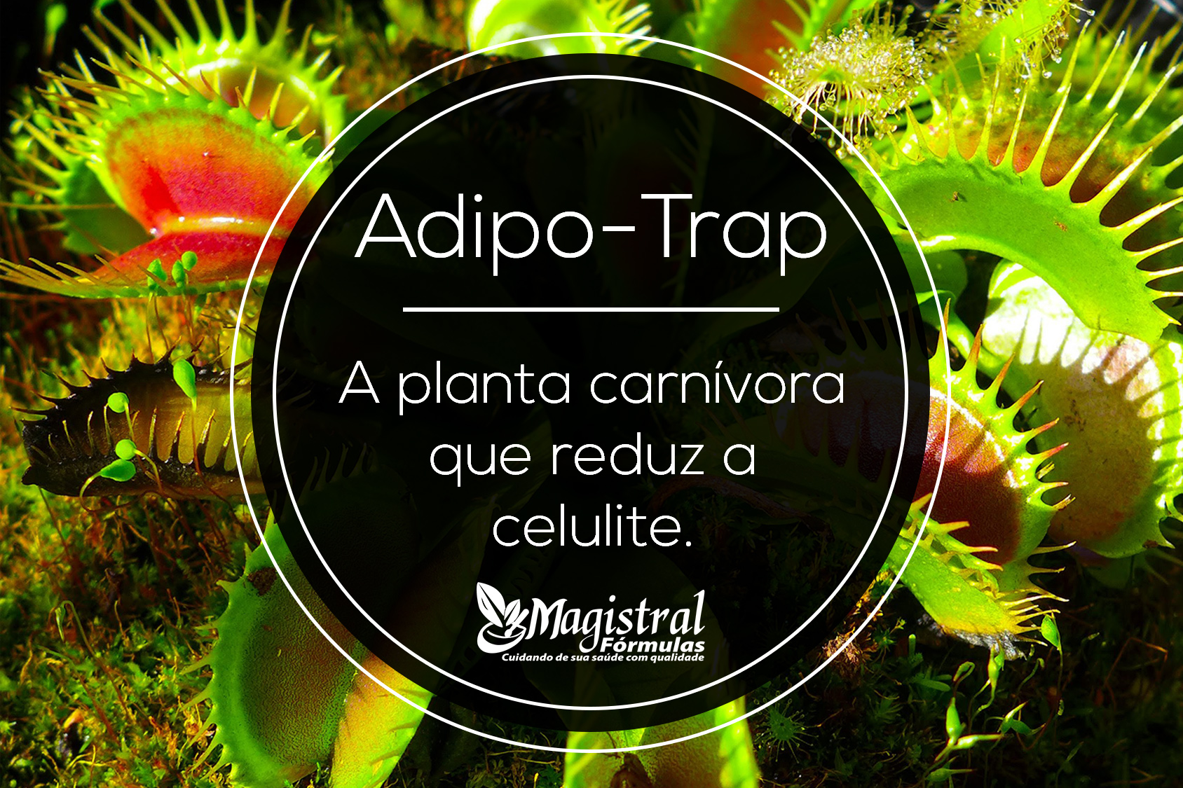 adipo-trap2